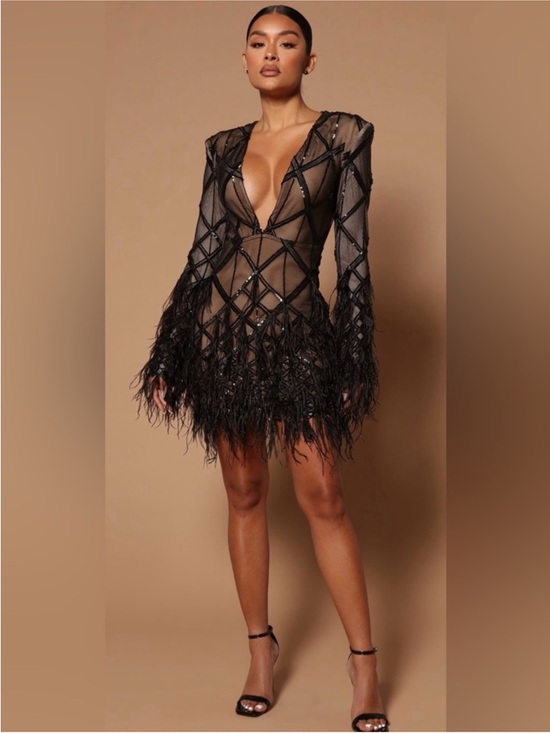 Fashion Nova Dresses & Skirts - Fashion Nova Luxe Amber Deep V Embellished Feather Trim Mini Dress Black Small